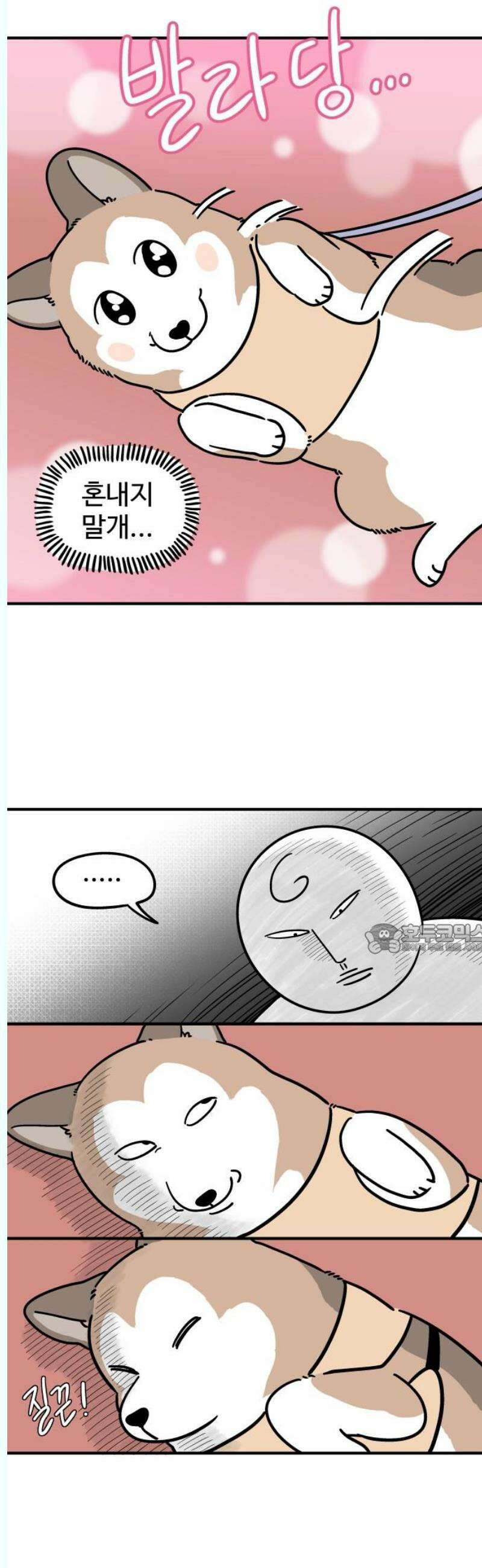 노곤하개 쇼츠 좋아하는 간식 찾기 8