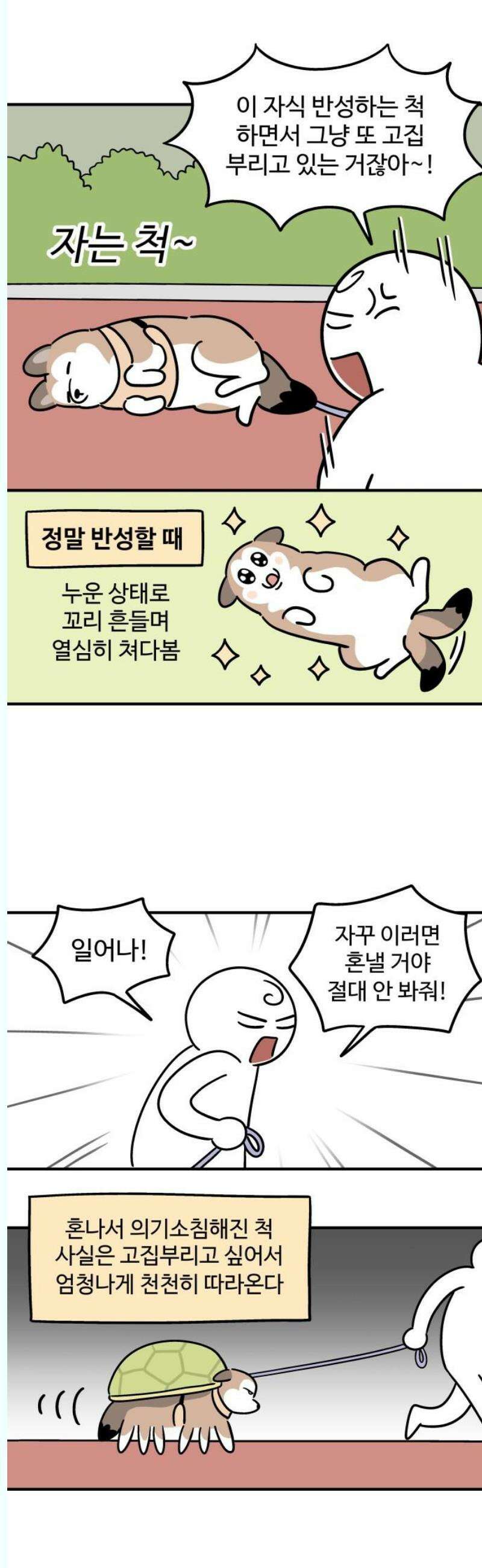 노곤하개 쇼츠 좋아하는 간식 찾기 9
