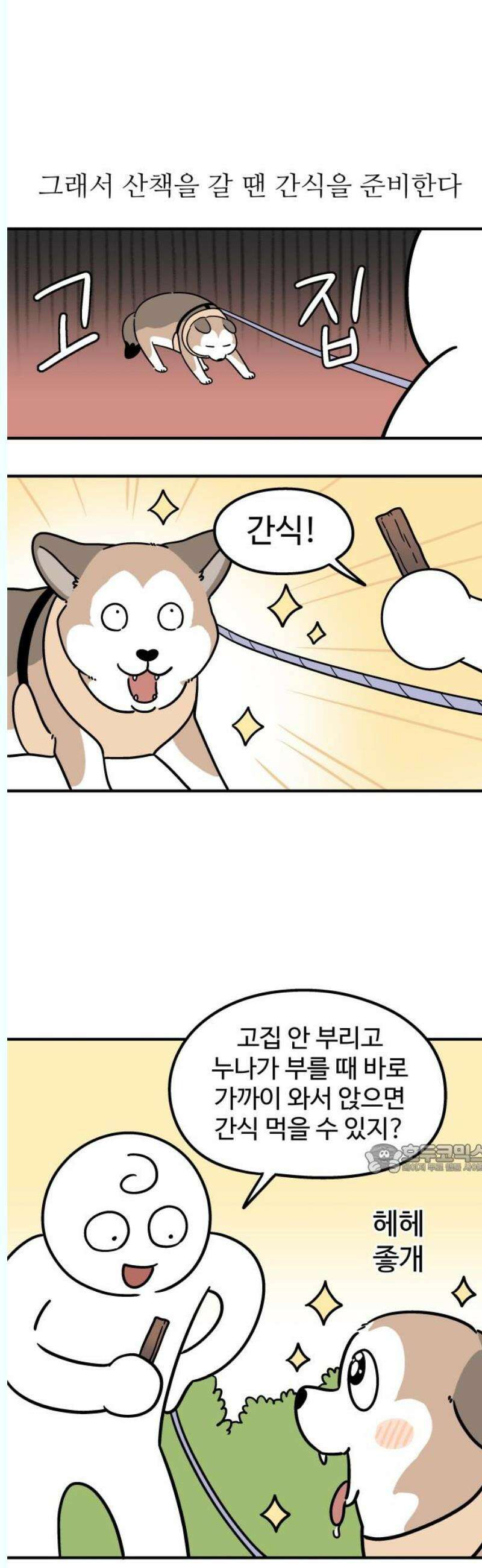노곤하개 쇼츠 좋아하는 간식 찾기 10