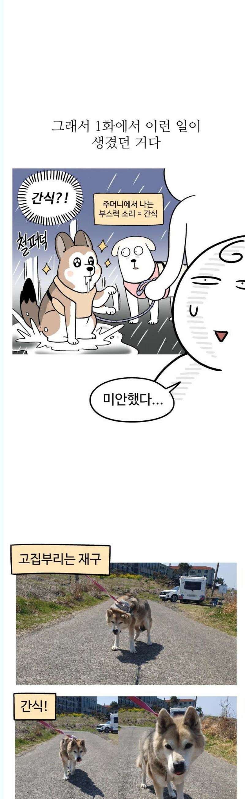 노곤하개 쇼츠 좋아하는 간식 찾기 11