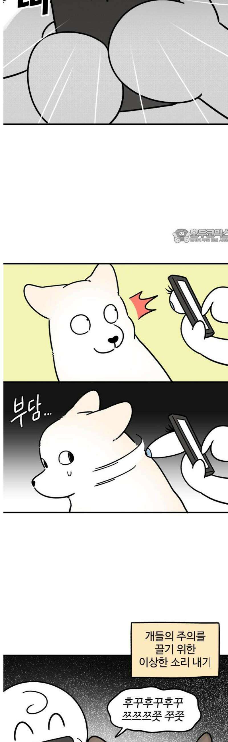 노곤하개 쇼츠 눈으로 담기 4