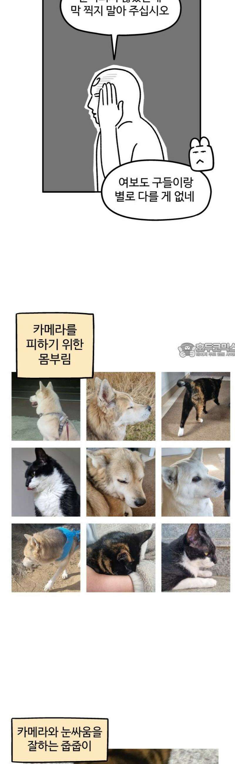 노곤하개 쇼츠 눈으로 담기 6