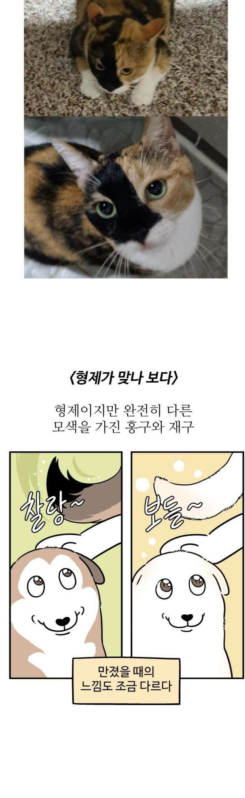 노곤하개 쇼츠 눈으로 담기 7