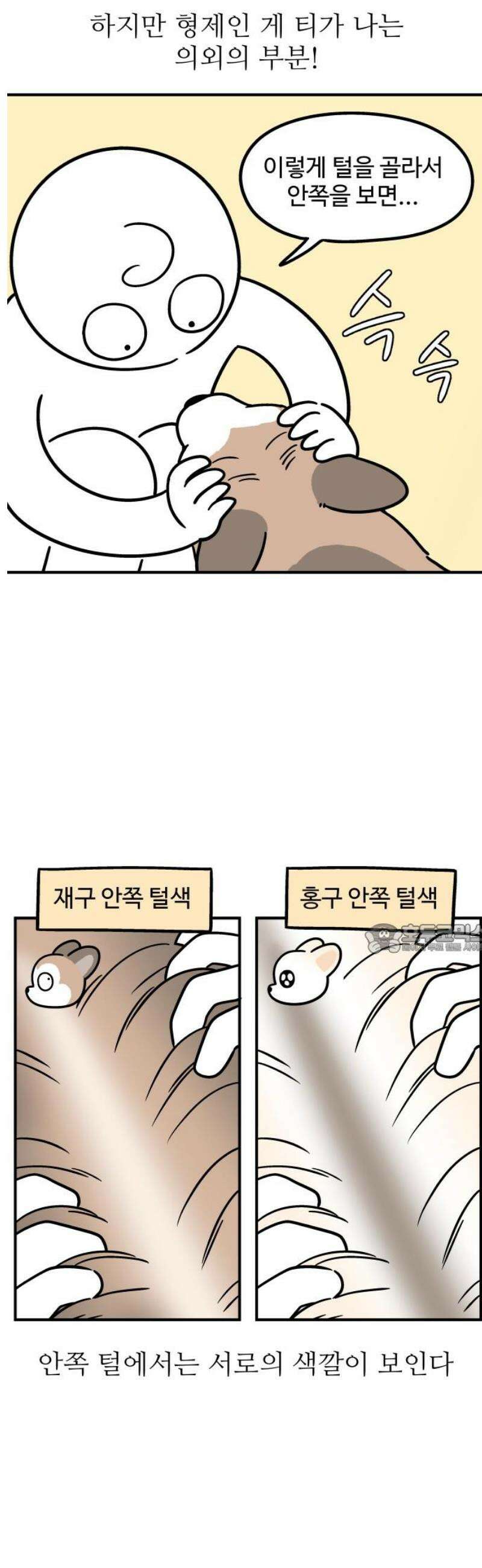 노곤하개 쇼츠 눈으로 담기 8