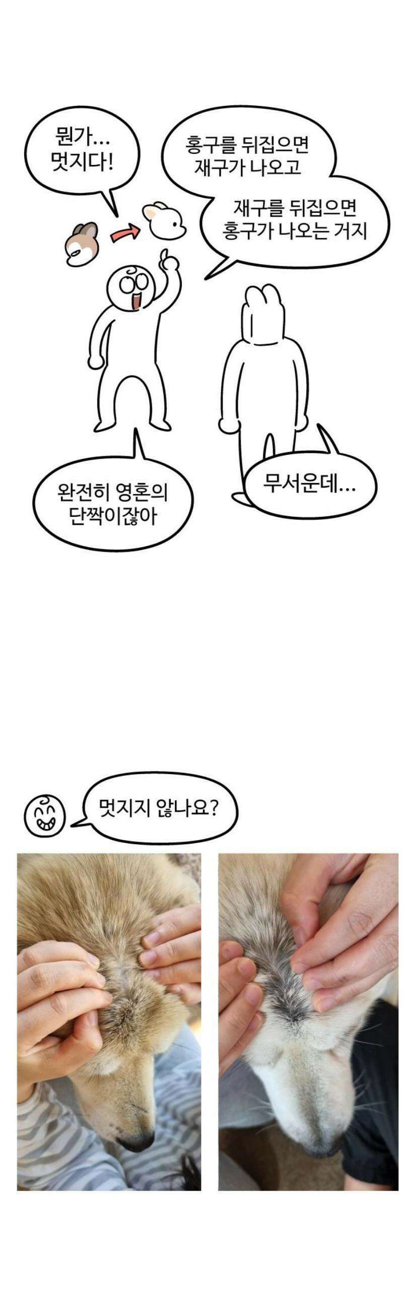노곤하개 쇼츠 눈으로 담기 9
