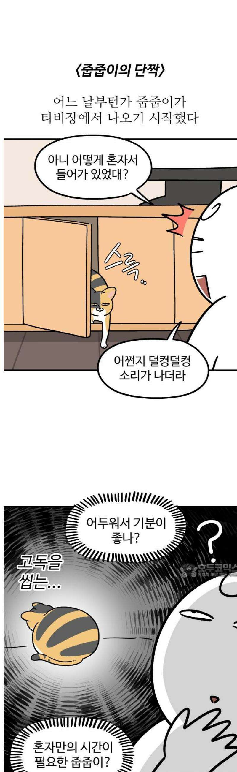 노곤하개 쇼츠 눈으로 담기 10