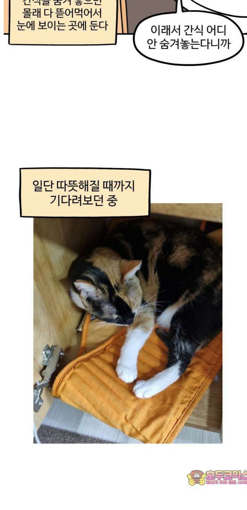 노곤하개 쇼츠 눈으로 담기 12