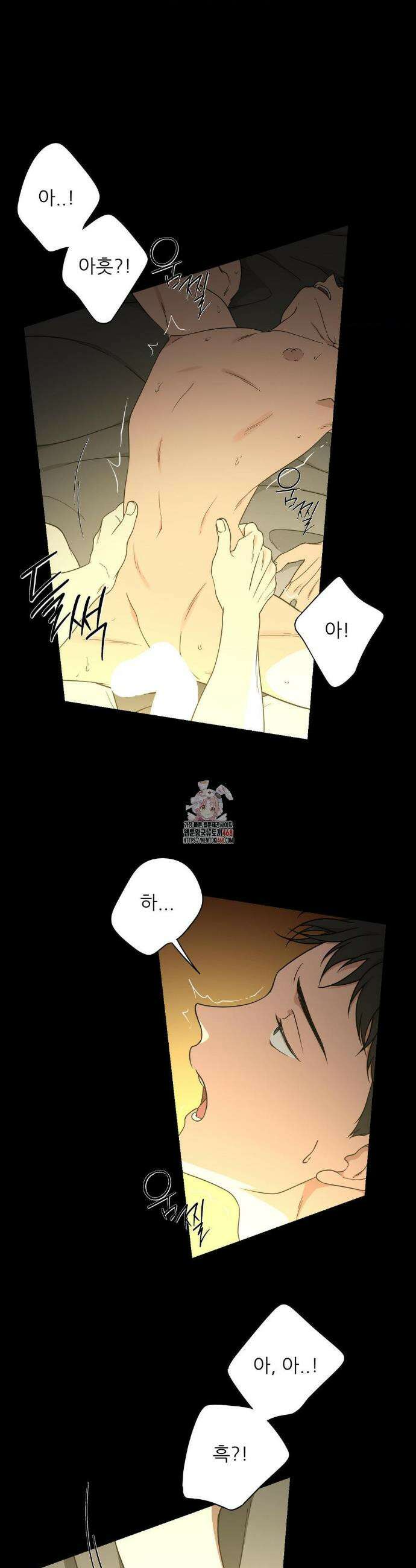 HONEYBEE (허니비) 12화 1