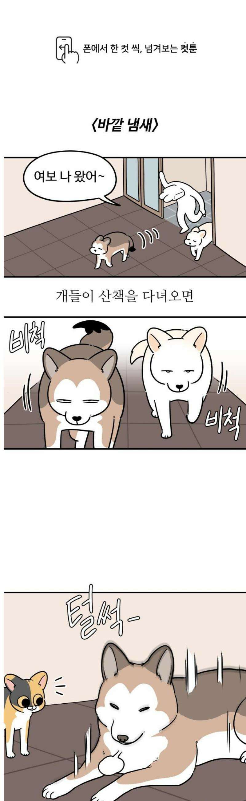 노곤하개 쇼츠 바깥 냄새 1