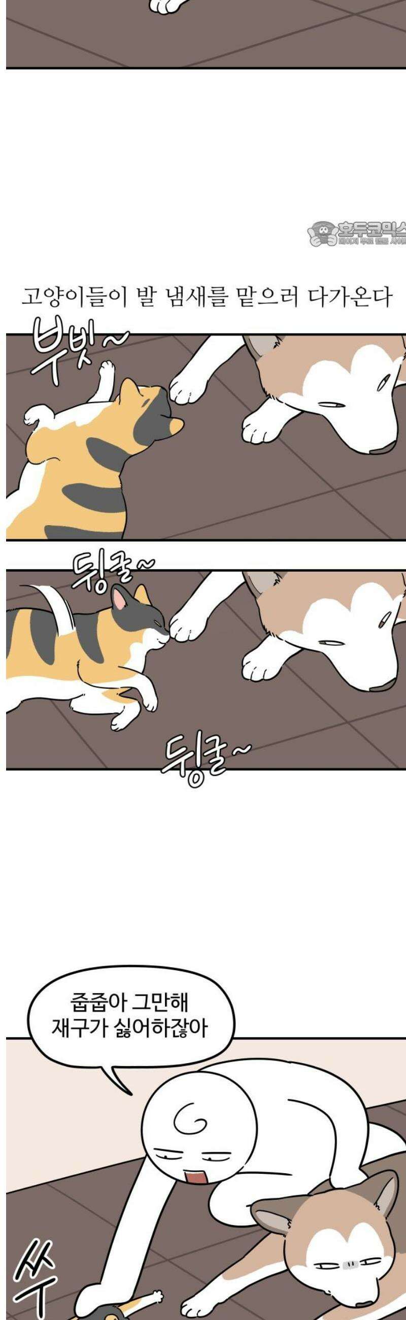 노곤하개 쇼츠 바깥 냄새 2