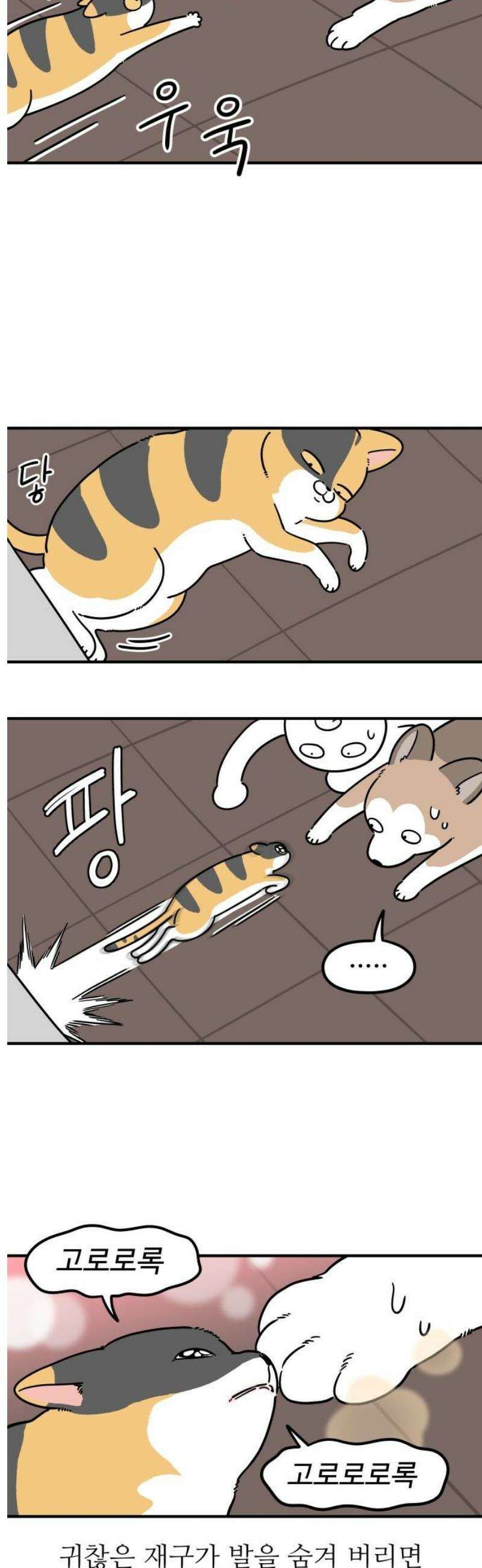 노곤하개 쇼츠 바깥 냄새 3