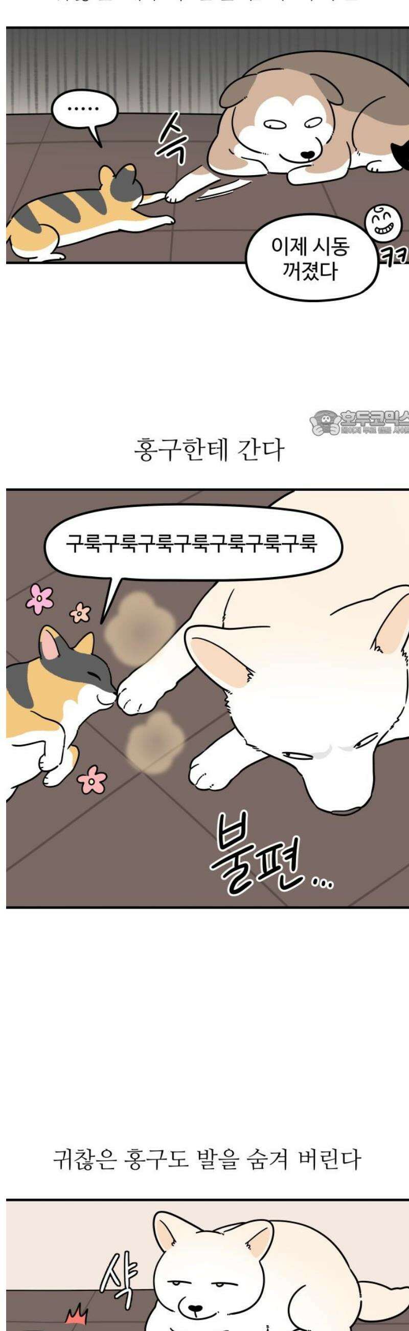 노곤하개 쇼츠 바깥 냄새 4