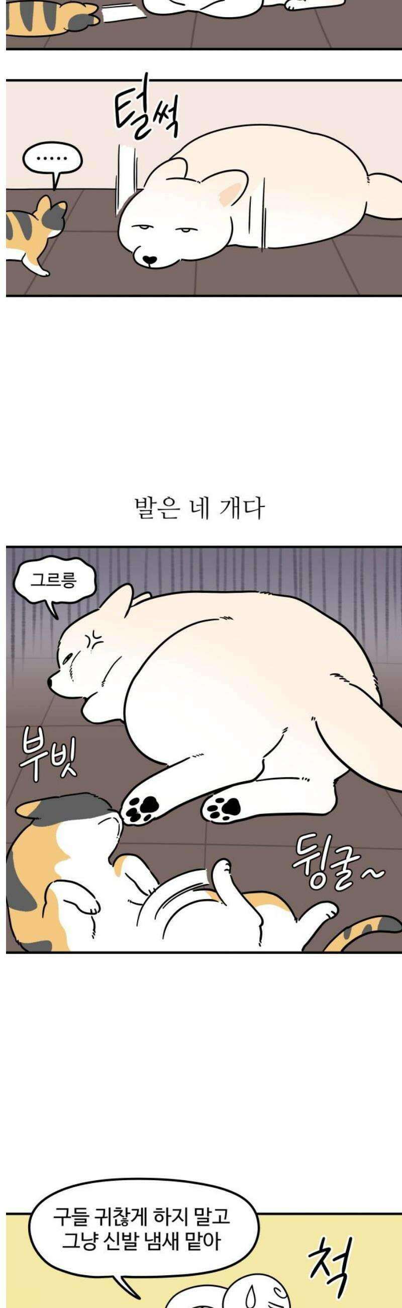 노곤하개 쇼츠 바깥 냄새 5