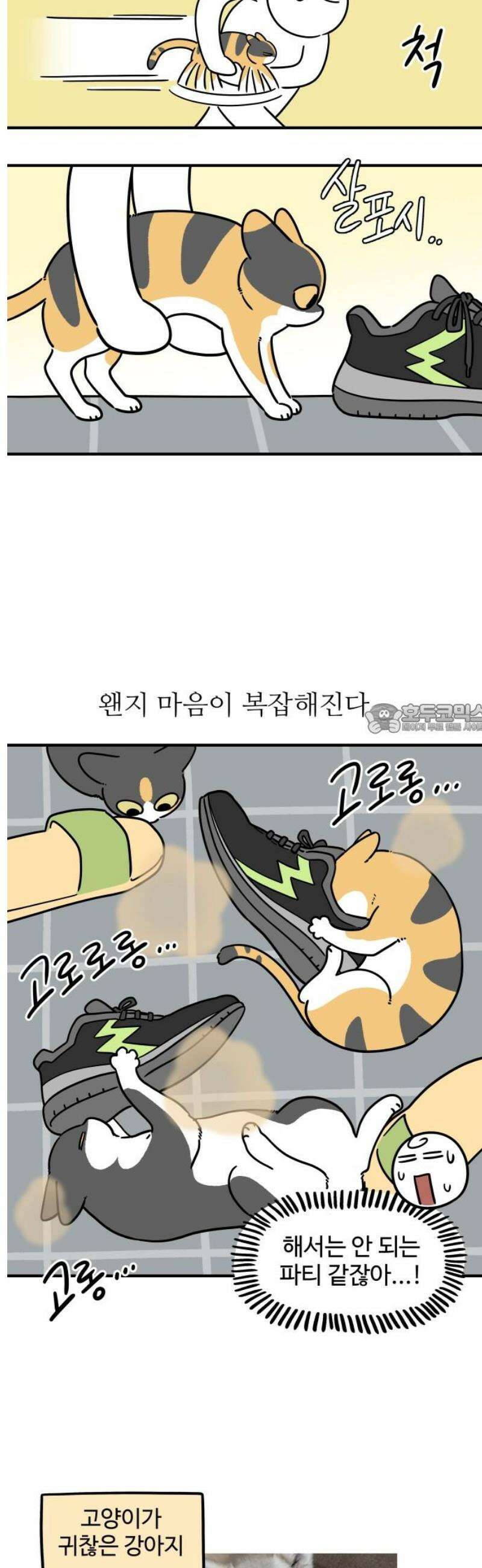 노곤하개 쇼츠 바깥 냄새 6