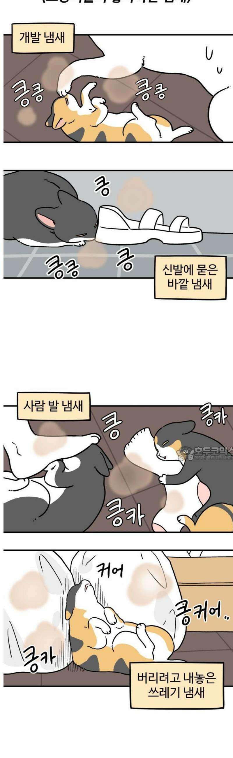 노곤하개 쇼츠 바깥 냄새 8