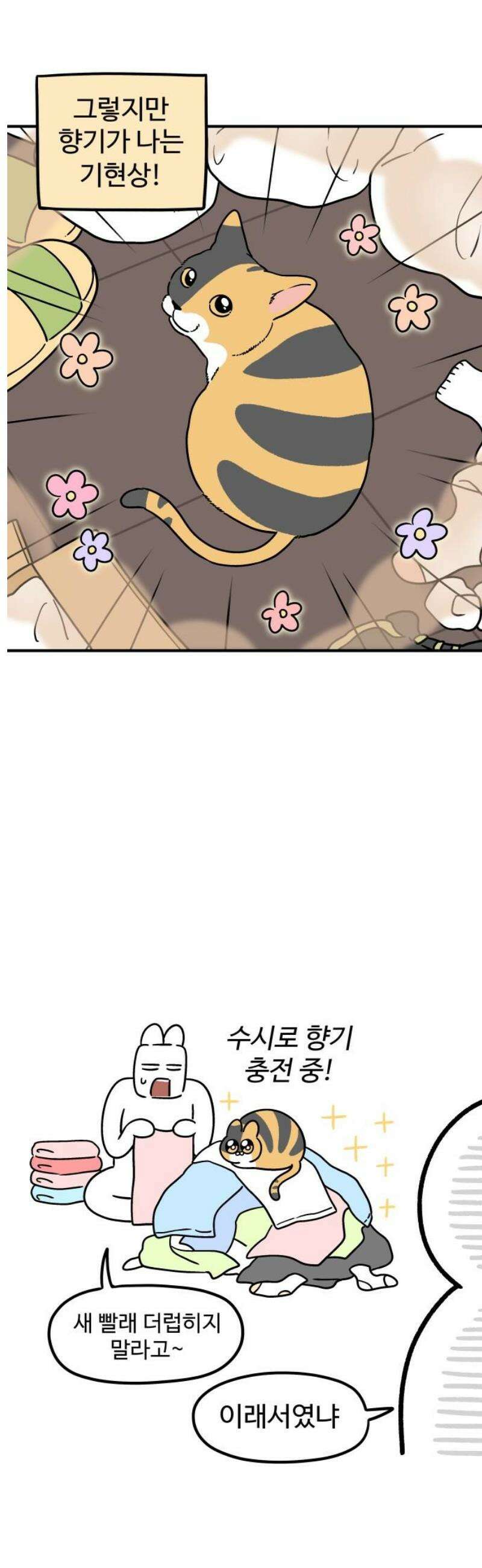 노곤하개 쇼츠 바깥 냄새 9