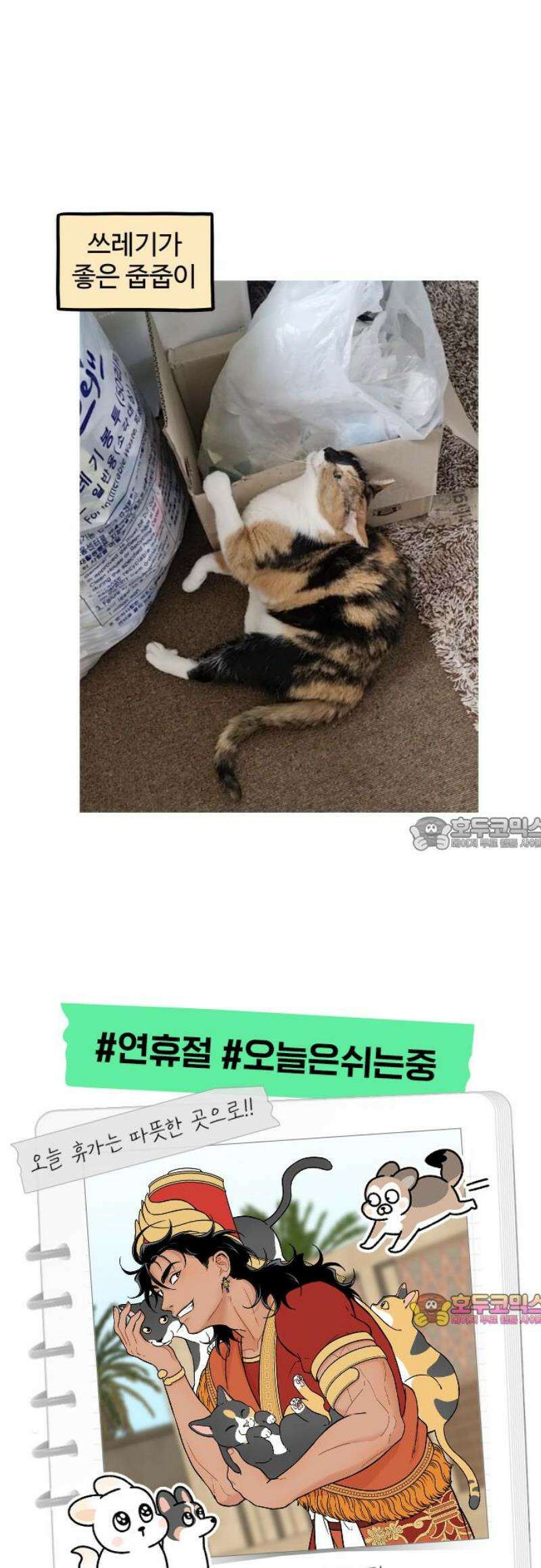 노곤하개 쇼츠 바깥 냄새 10