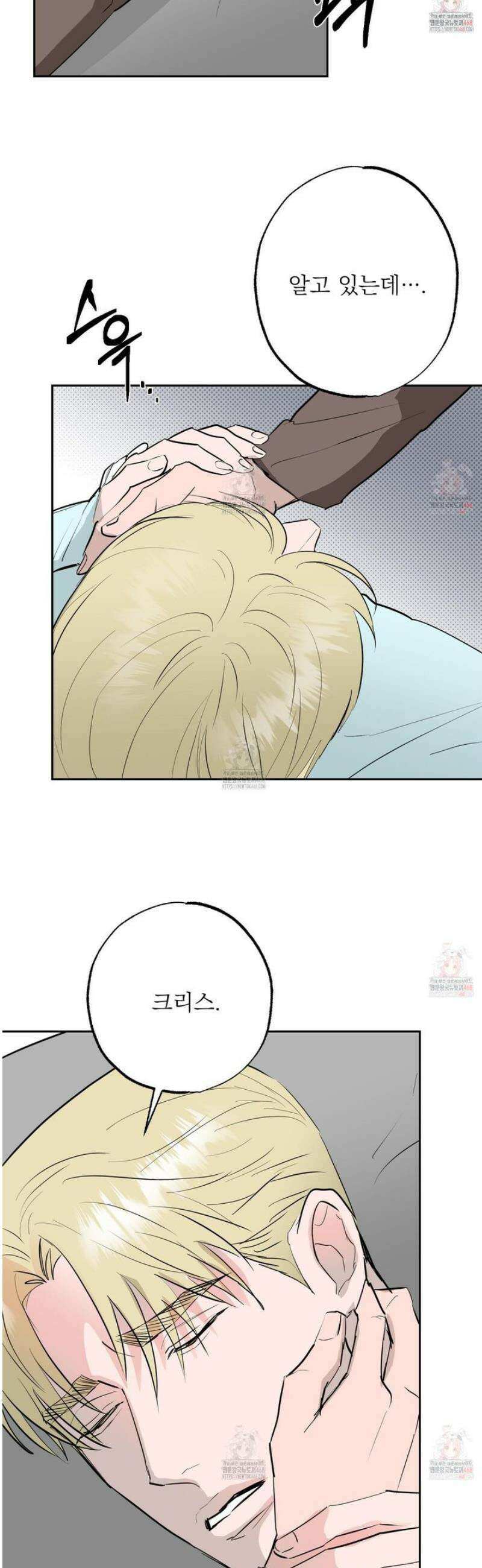 블랙쉽 44화 17