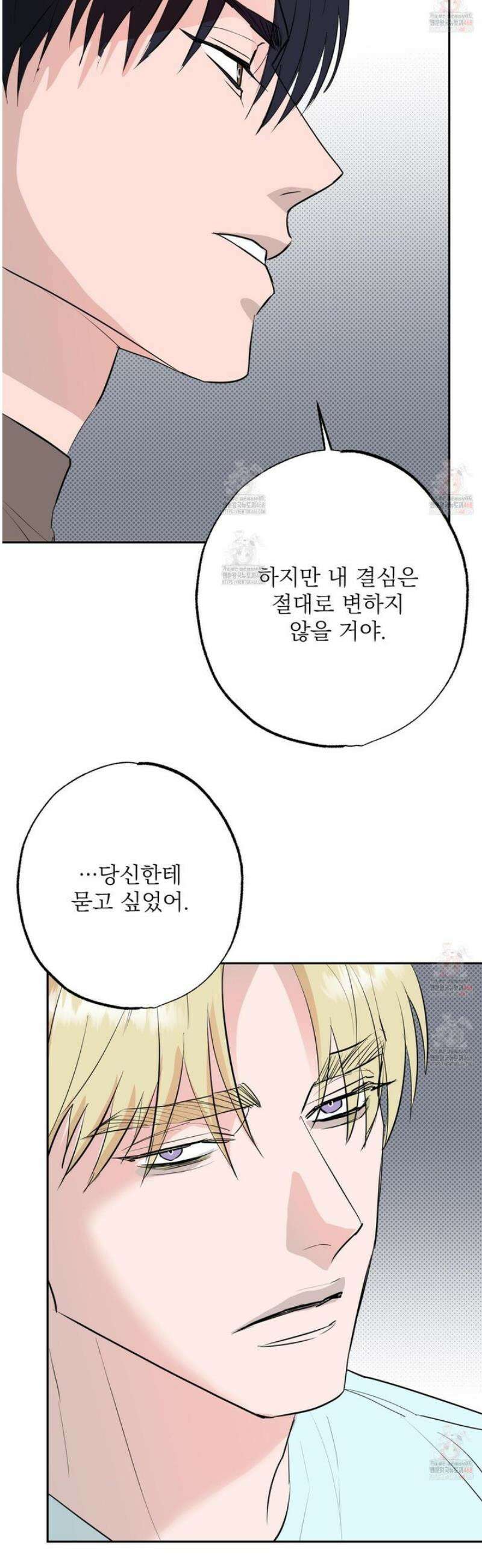 블랙쉽 44화 29