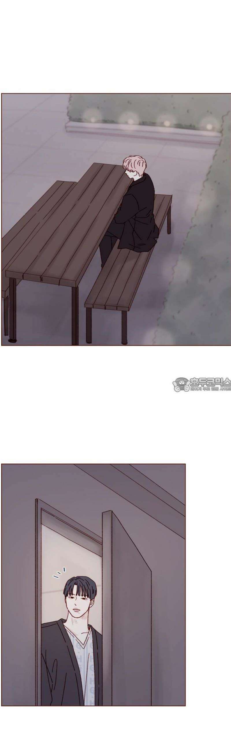 홍시는 날 좋아해 316화 : 넌 날 미워한 적이 없어 13