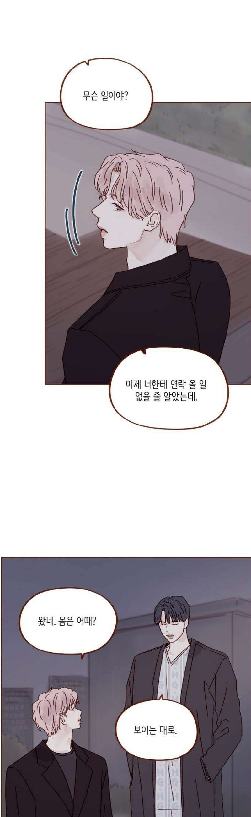 홍시는 날 좋아해 316화 : 넌 날 미워한 적이 없어 14