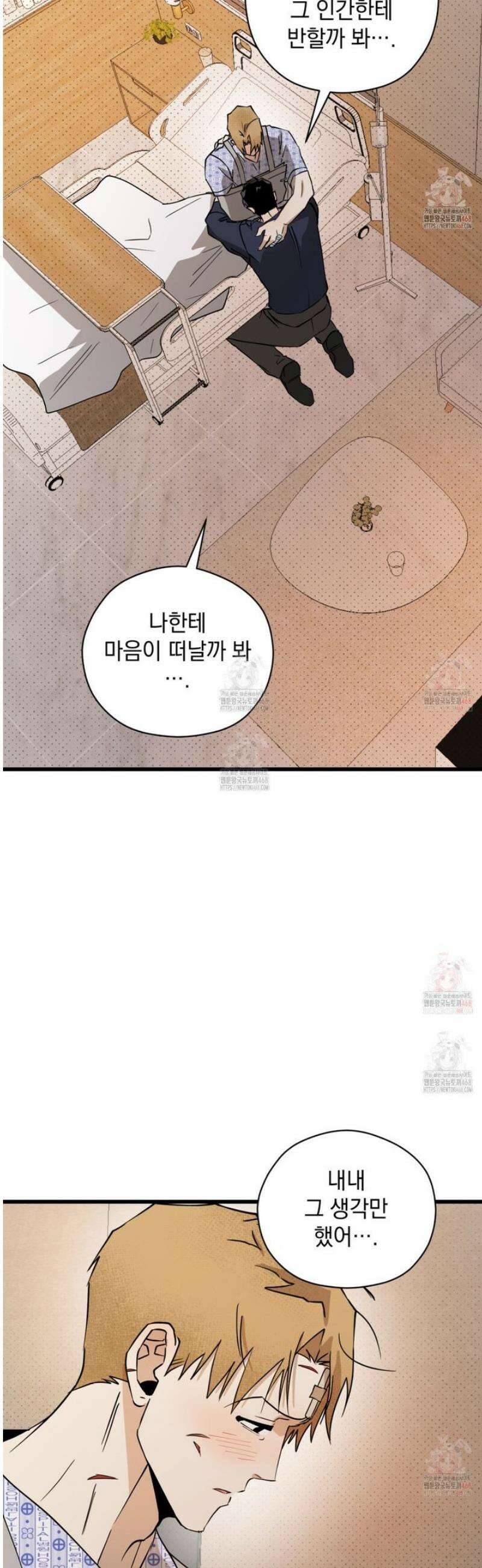 투 마이 발렌타인 (To my valentine) 54화 27