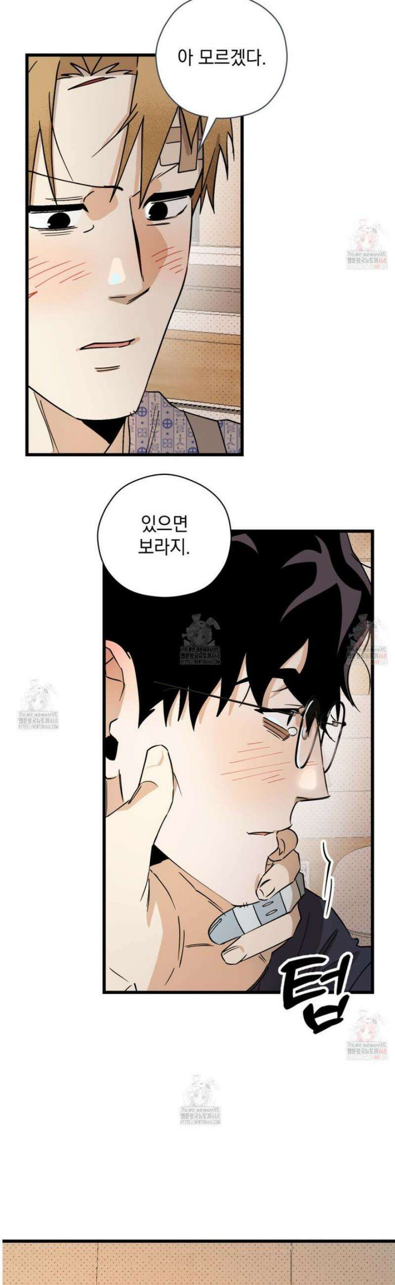 투 마이 발렌타인 (To my valentine) 54화 34