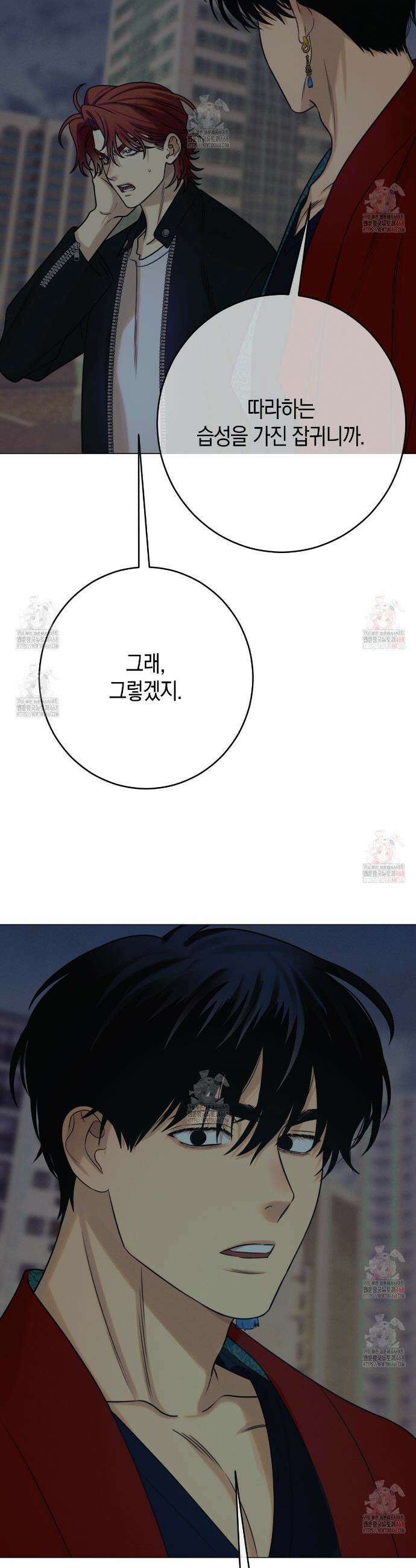 산가지는 도깨비의 꿈을 꾼다 51화 5