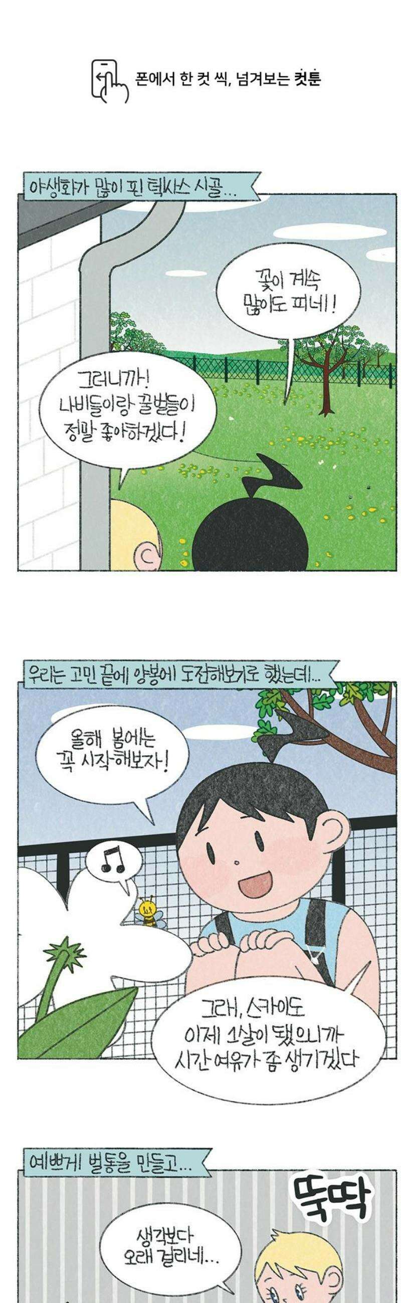 마님이네 미국 시골집 이야기 183화 양봉을 시작했어요 1
