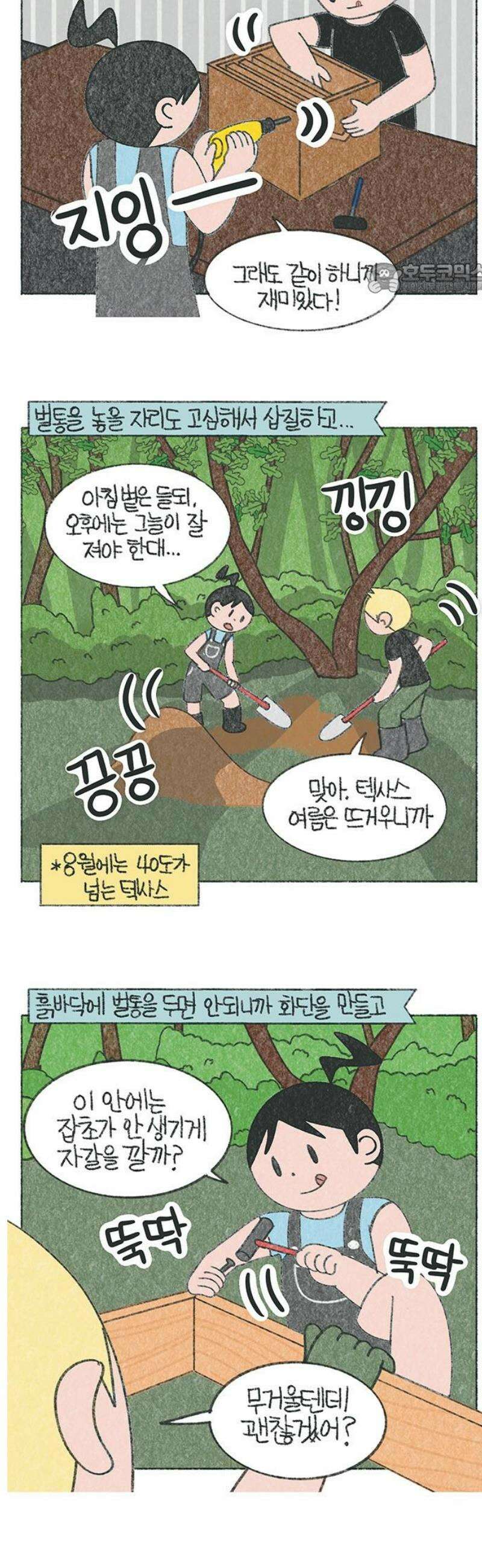 마님이네 미국 시골집 이야기 183화 양봉을 시작했어요 2