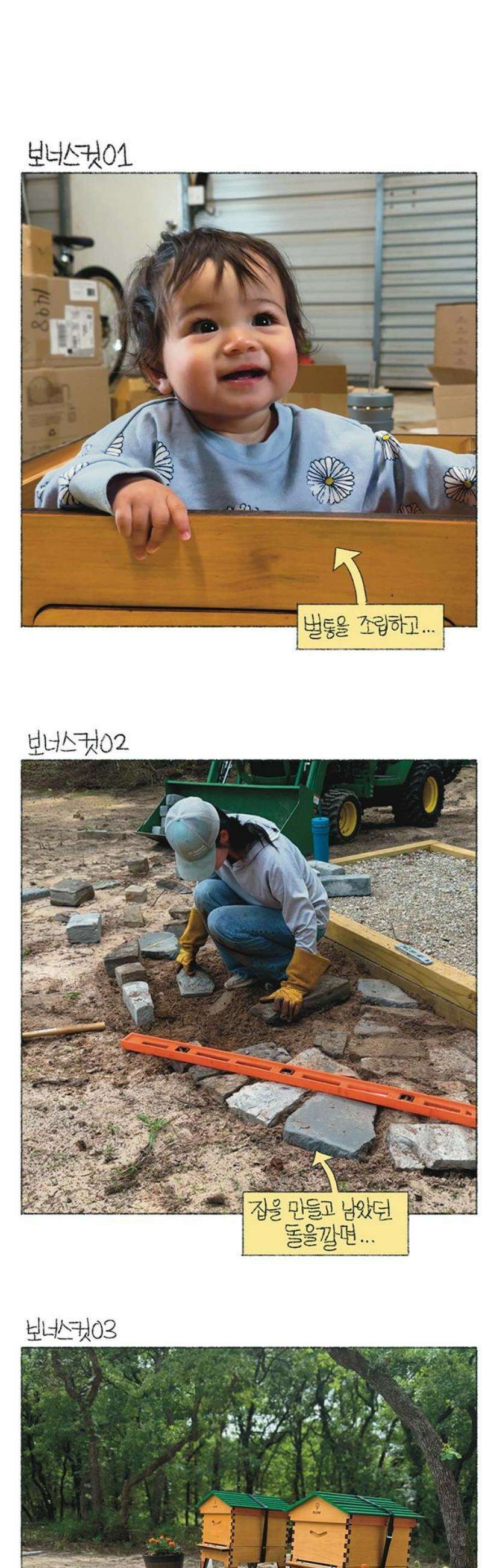 마님이네 미국 시골집 이야기 183화 양봉을 시작했어요 5