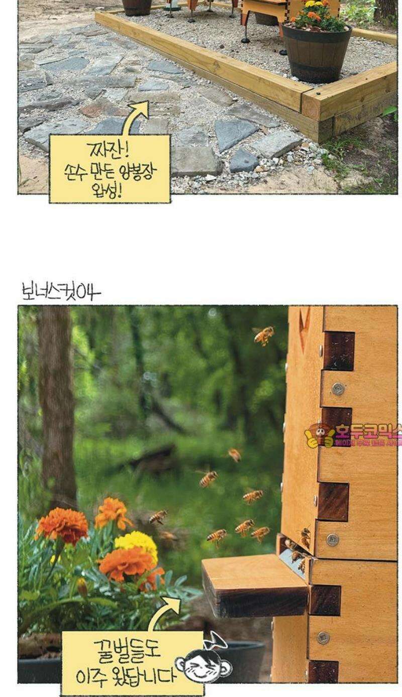 마님이네 미국 시골집 이야기 183화 양봉을 시작했어요 6