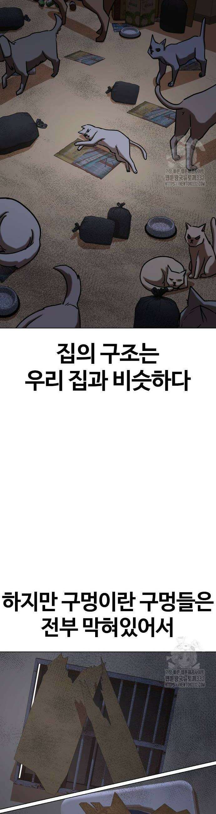욕망일기Deep 50화 2