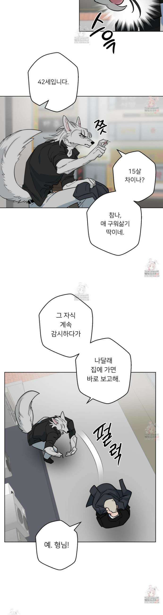안돼요! 몰라요? 사실 알아요?! 37화 17
