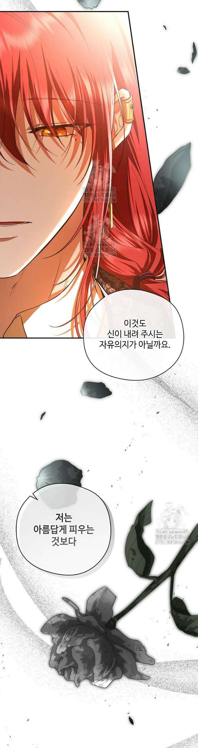 후원에 핀 제비꽃 53화 28