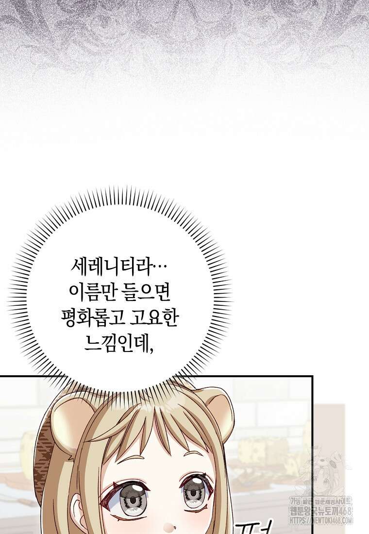 신데렐라는 이 멧밭쥐가 데려갑니다 13화 13