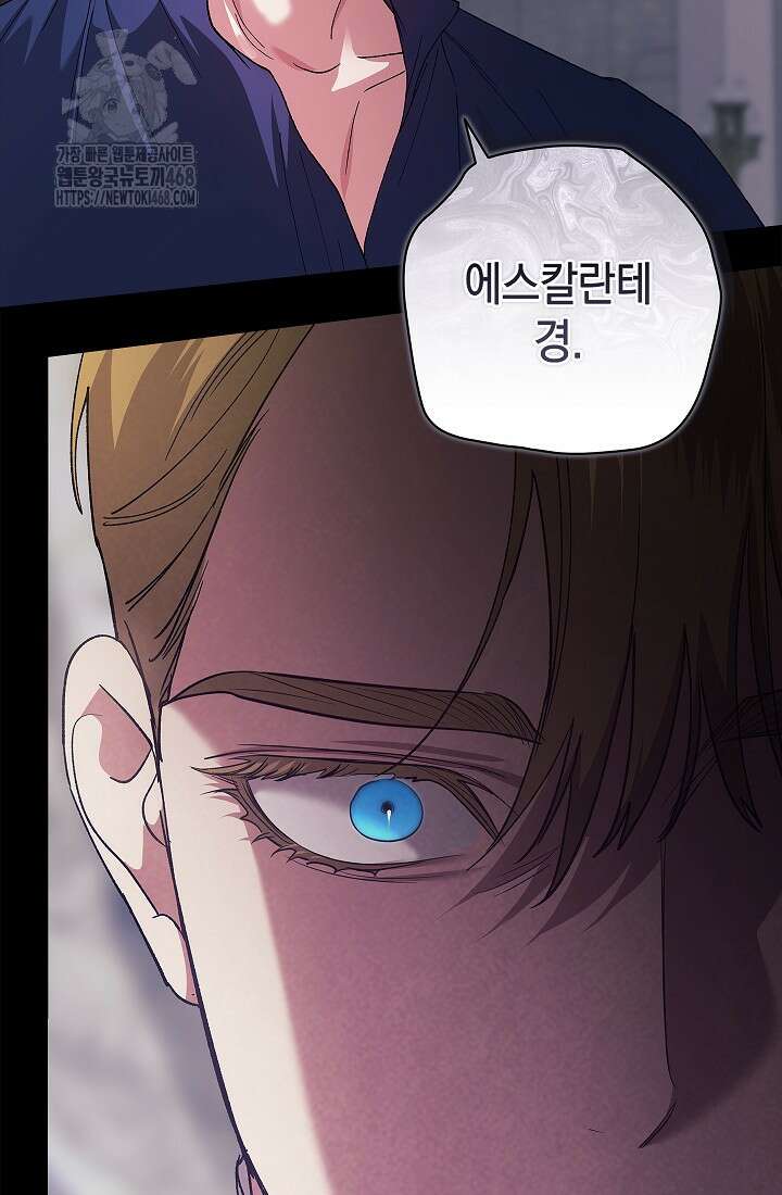 이 결혼은 어차피 망하게 되어 있다 97화 94
