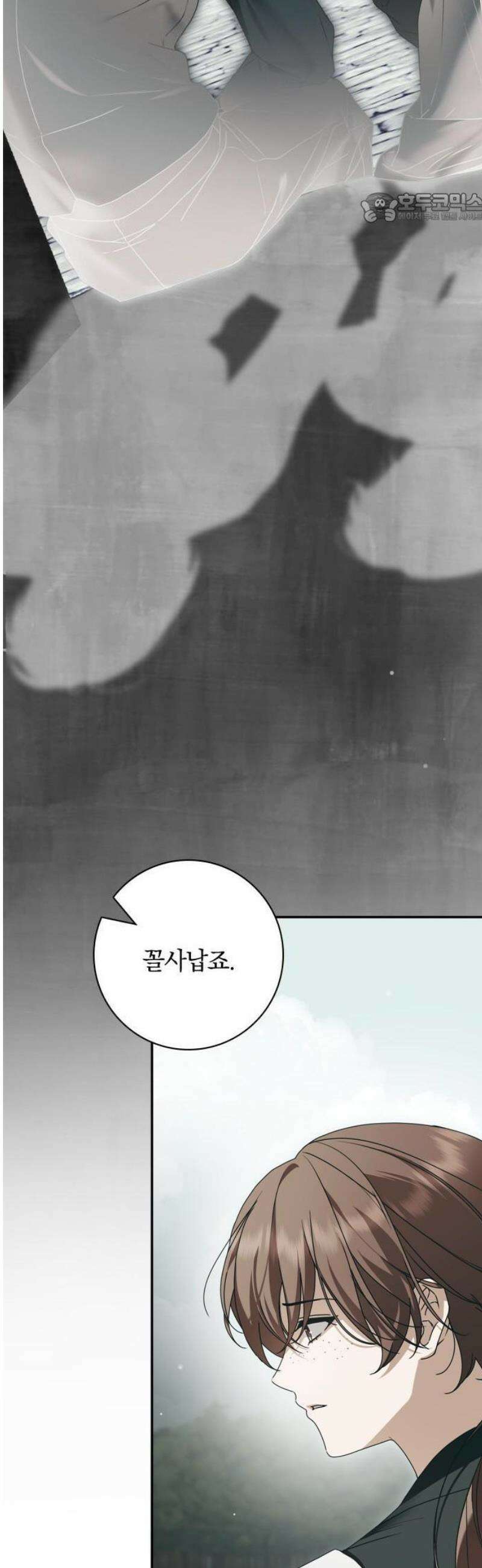 백작가의 비밀스런 시녀님 38화 11