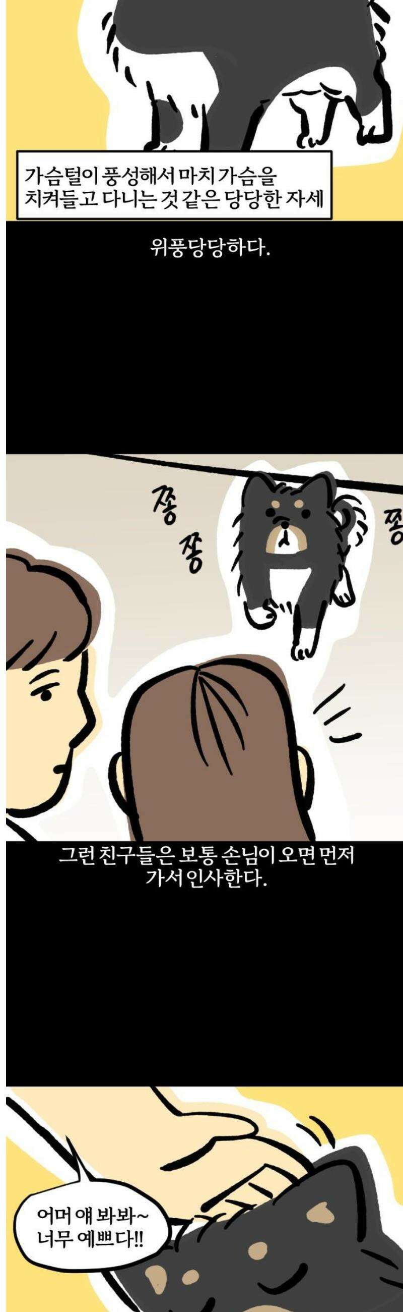 개집사 96화: 내 얘기해? 9