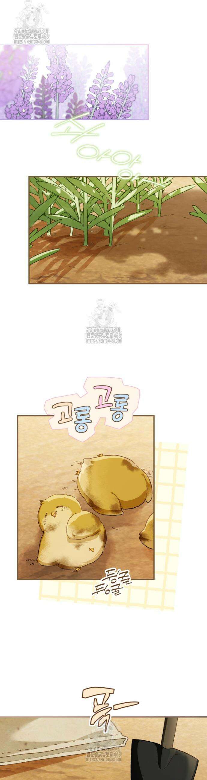 황제궁 옆 마로니에 농장 97화 6