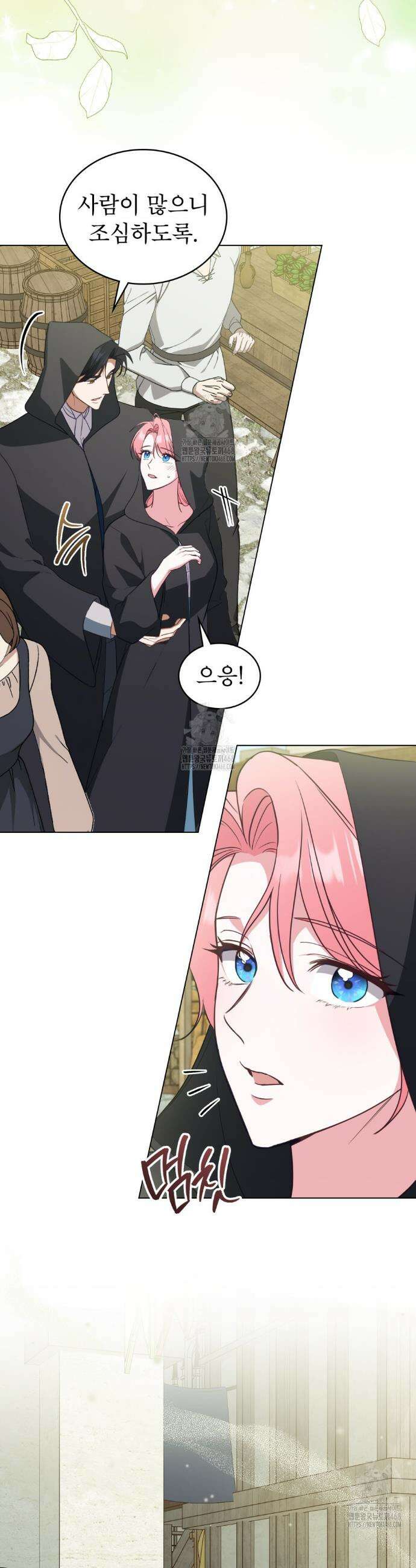 디에 멜루시네 65화 7