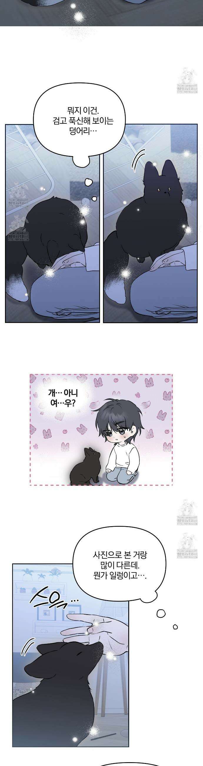 숨어드는 볕 1화 14