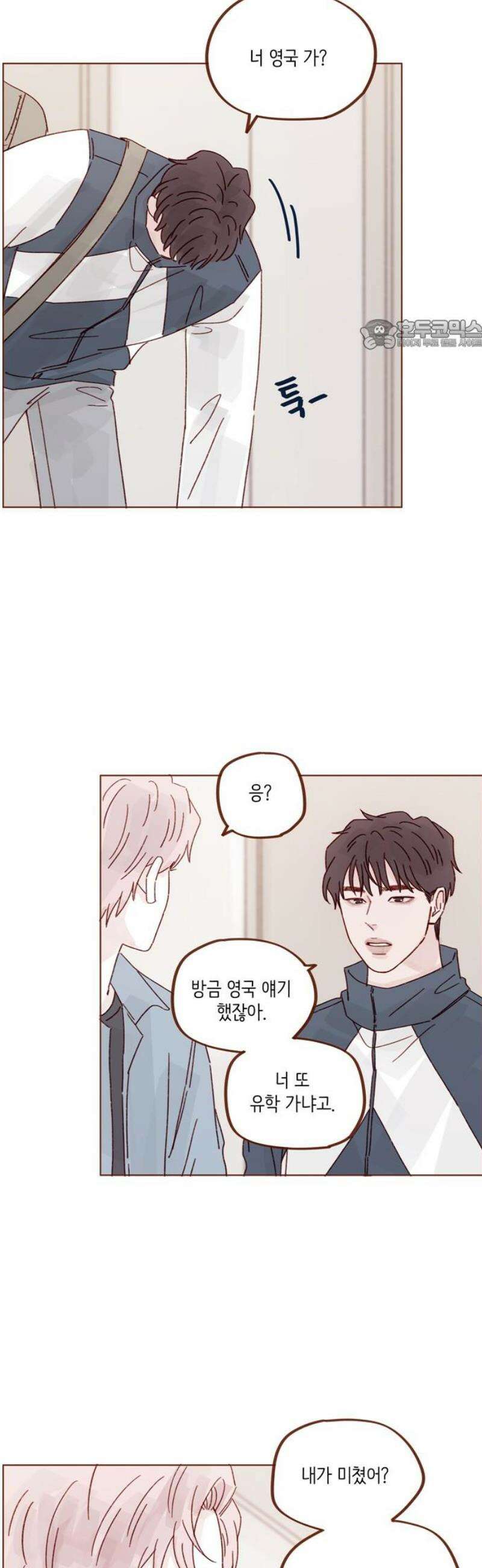 홍시는 날 좋아해 324화 : 똑바로 대답해． 안 간다고 24