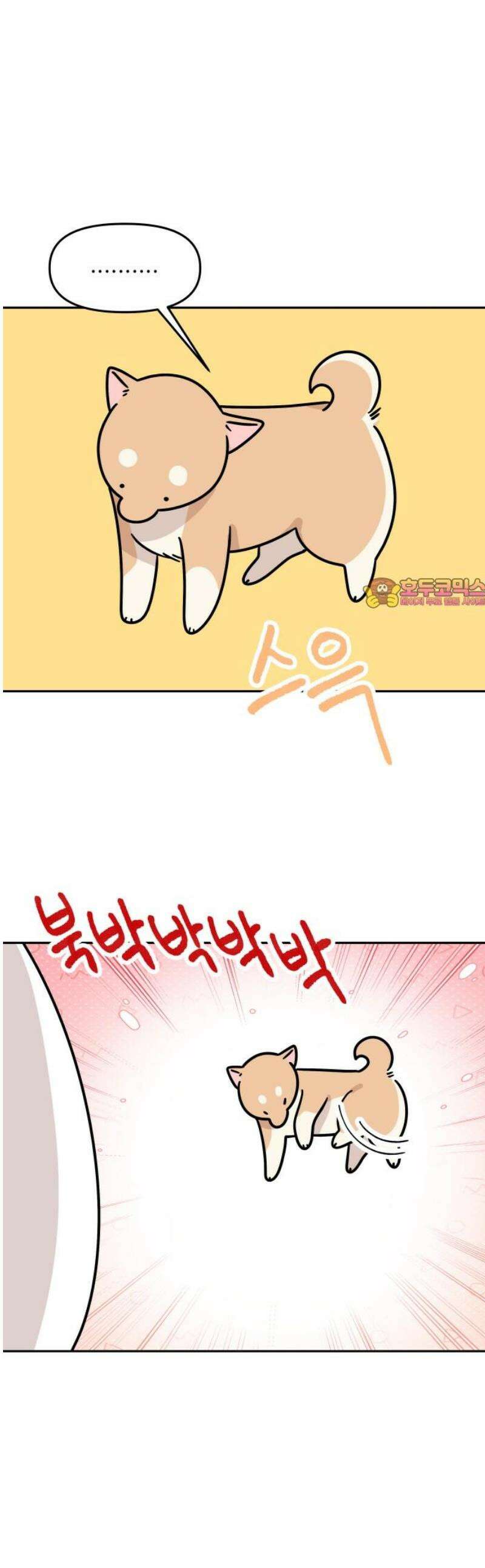 시바, 만만치 않다 55화 털 미용 1