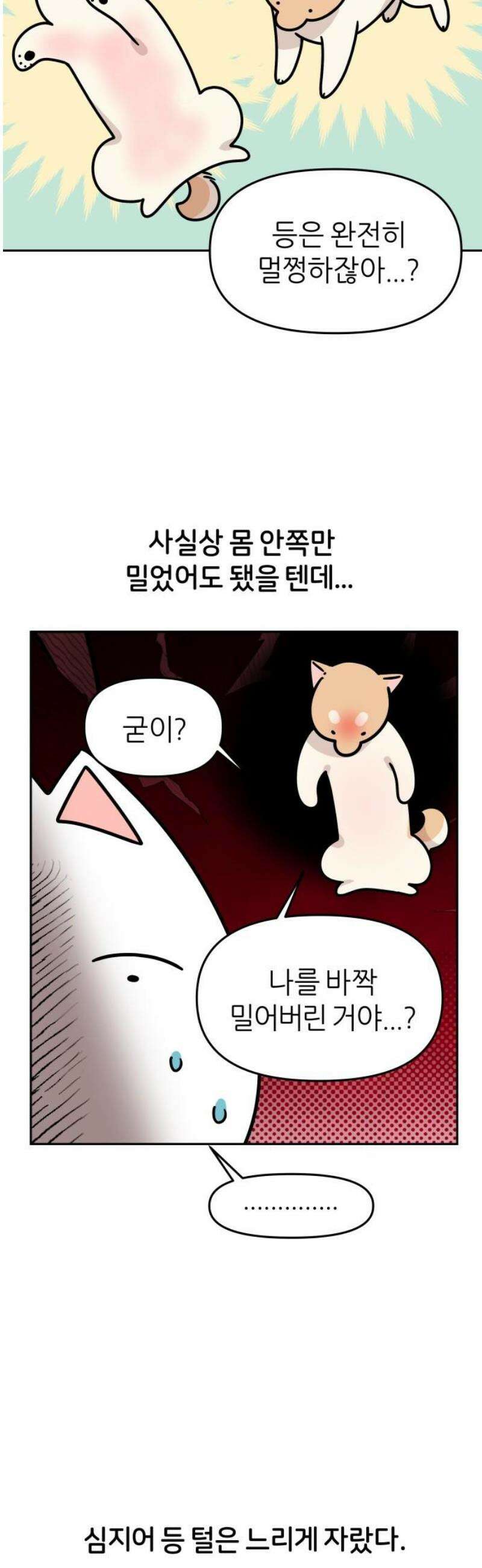 시바, 만만치 않다 55화 털 미용 5