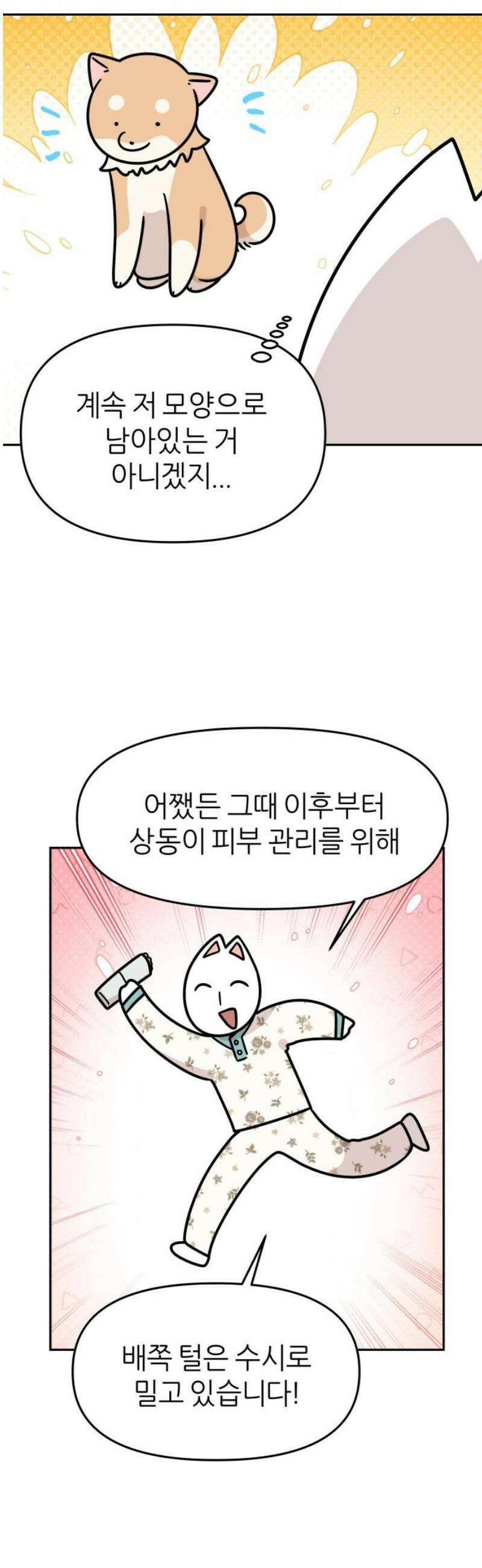 시바, 만만치 않다 55화 털 미용 6