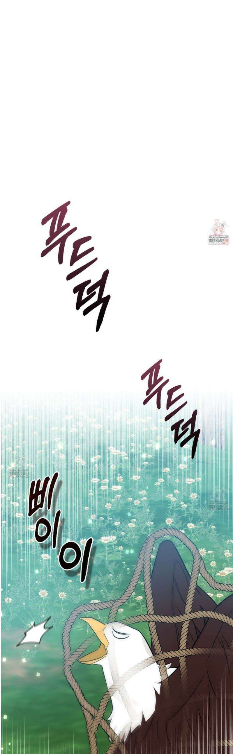 토끼라뇨, 누가 봐도 맹수인데 31화 1