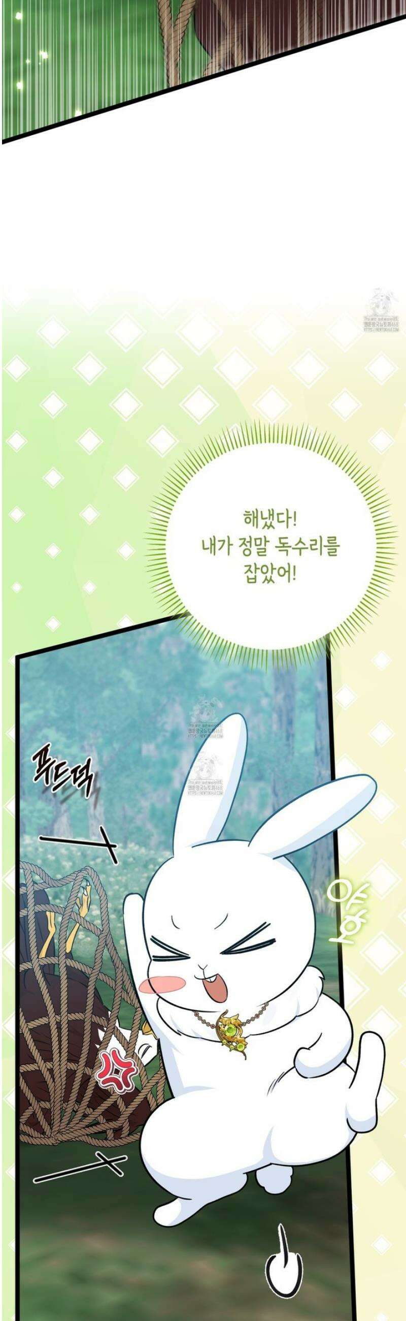 토끼라뇨, 누가 봐도 맹수인데 31화 2