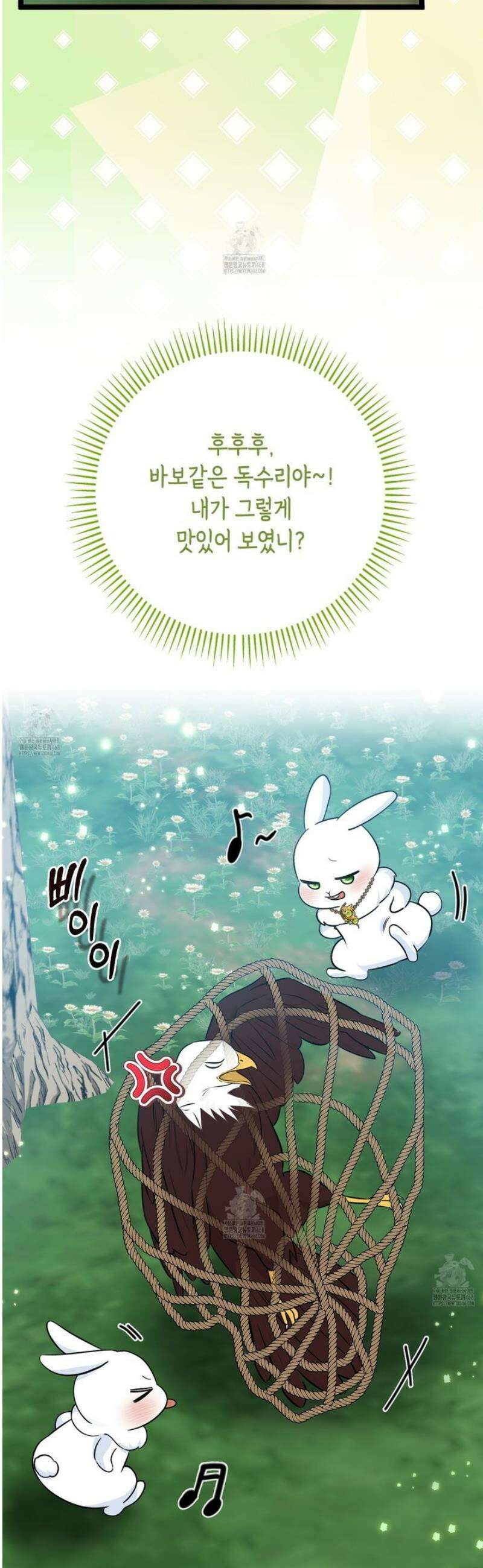 토끼라뇨, 누가 봐도 맹수인데 31화 3