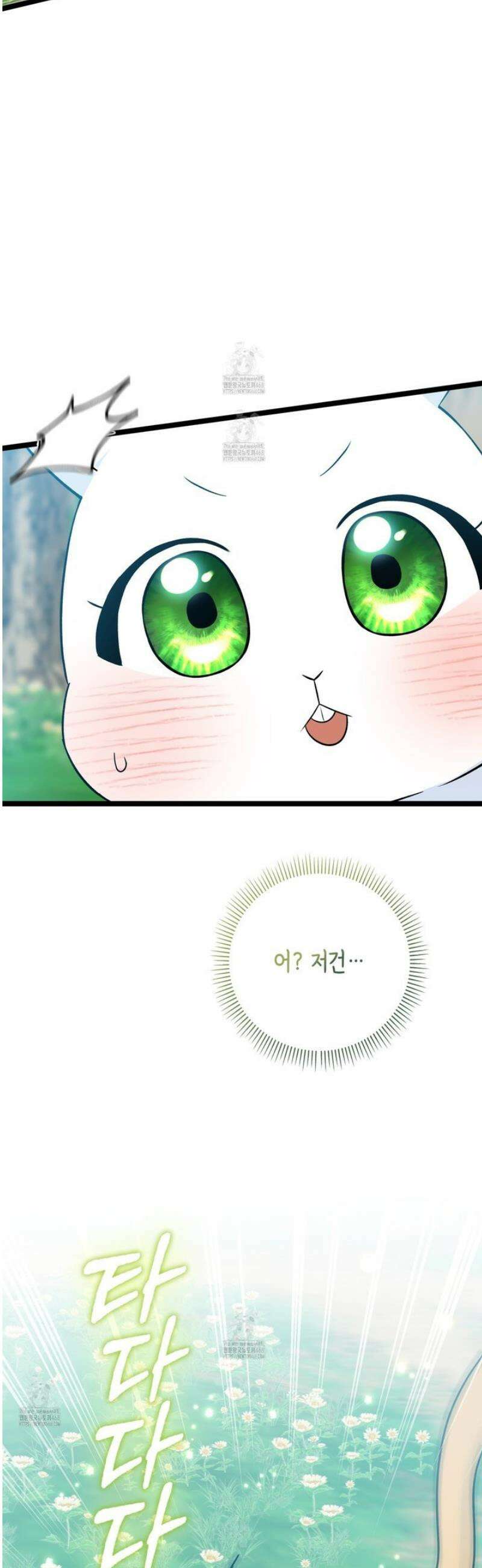 토끼라뇨, 누가 봐도 맹수인데 31화 6